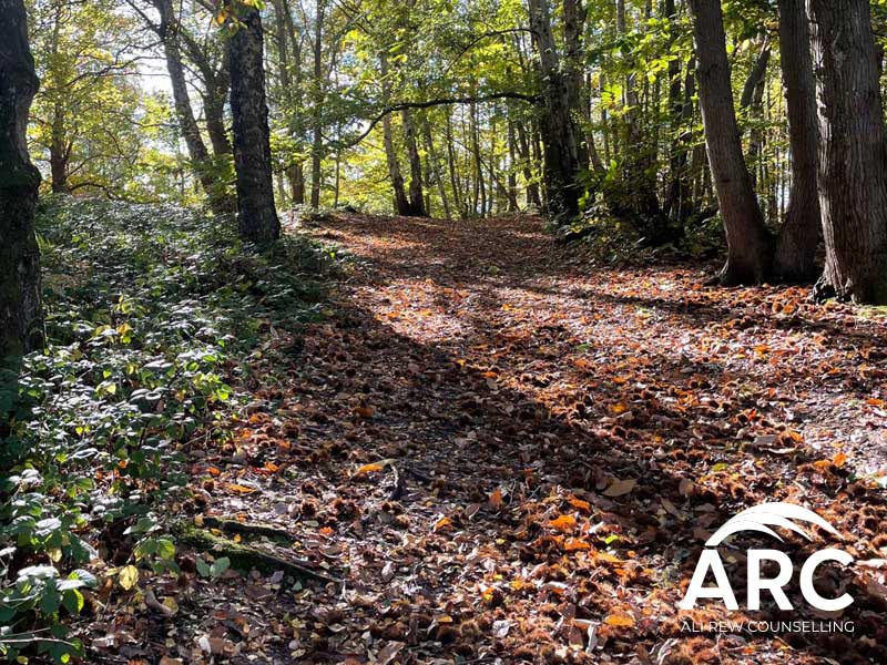 Arc - Ali Rew - Ali Rew Counselling - Bereavement Counselling