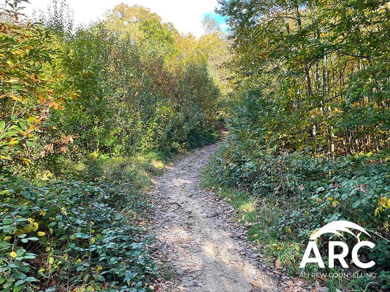 Arc - Ali Rew - Ali Rew Counselling - Individual Counselling